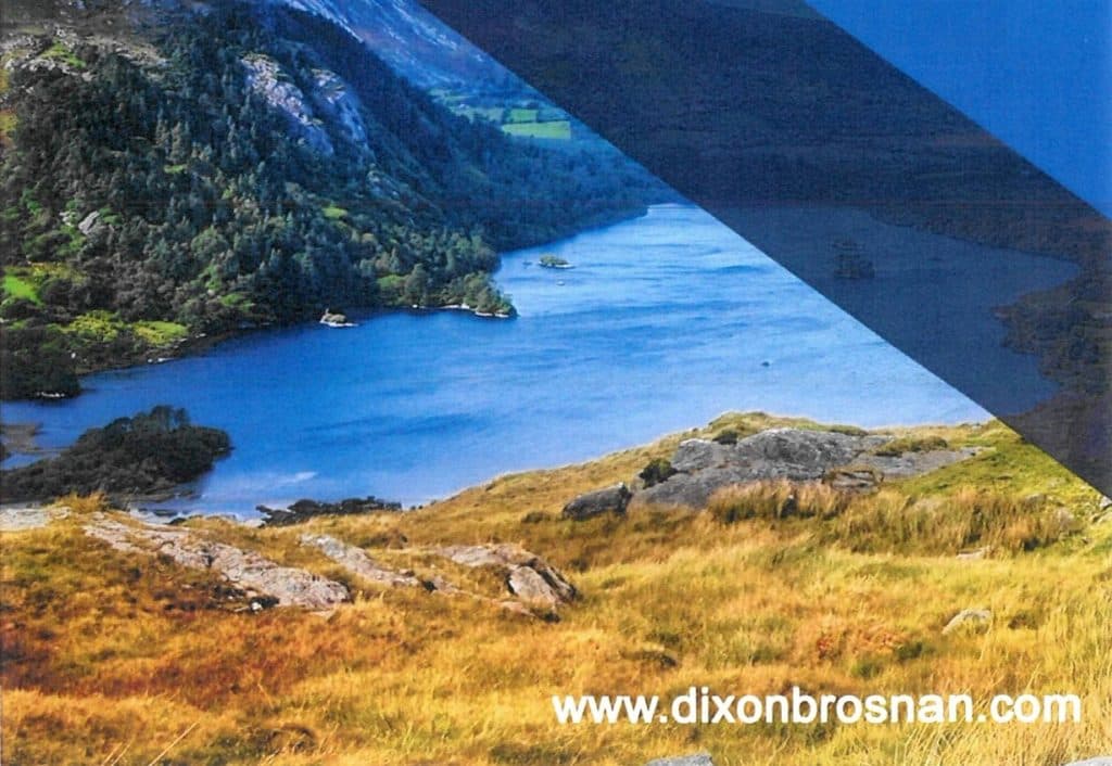 DixonBrosnan Environmental Consultants