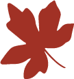 Ellendale Environmental