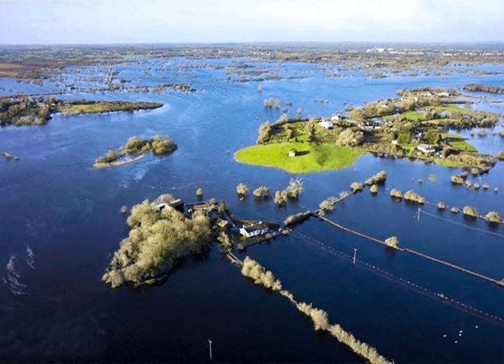 Save Our Shannon Organisation