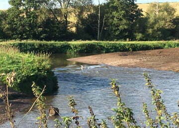 Trent Rivers Trust