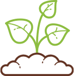 Ballast Environmental Consulting