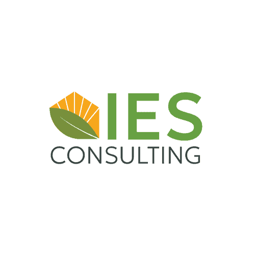 IES Consulting Group Inc
