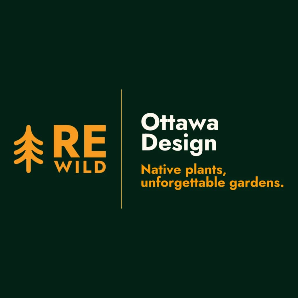 REWILD