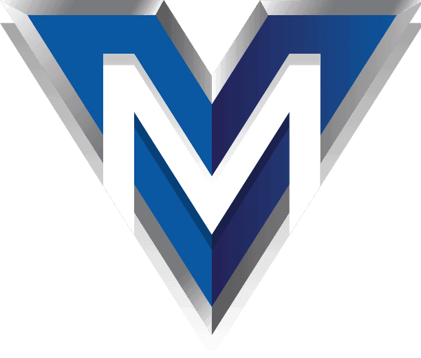 Vizion Media Inc