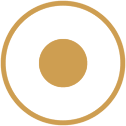 Dualita