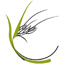 Practicalecology