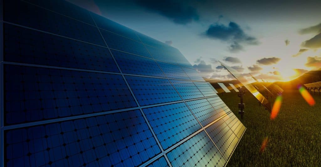 Dandelion Renewables