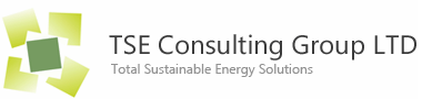 TSE Consulting Group