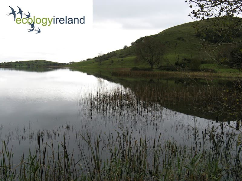 Ecology Ireland Wildlife Consultants Ltd.