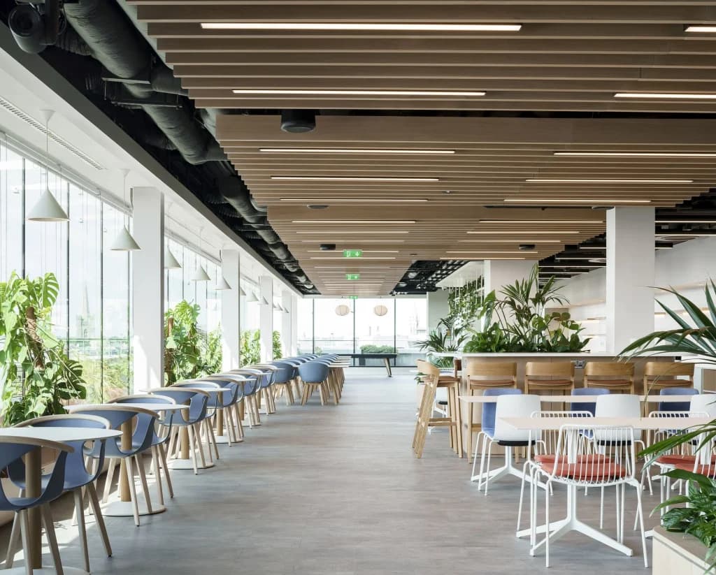 Studio 3 Architecture