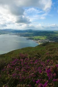 Newry, Mourne and Down District Council — Biodiversity