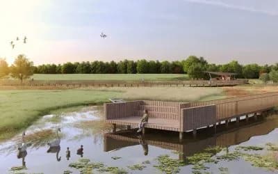 Rapport Architects