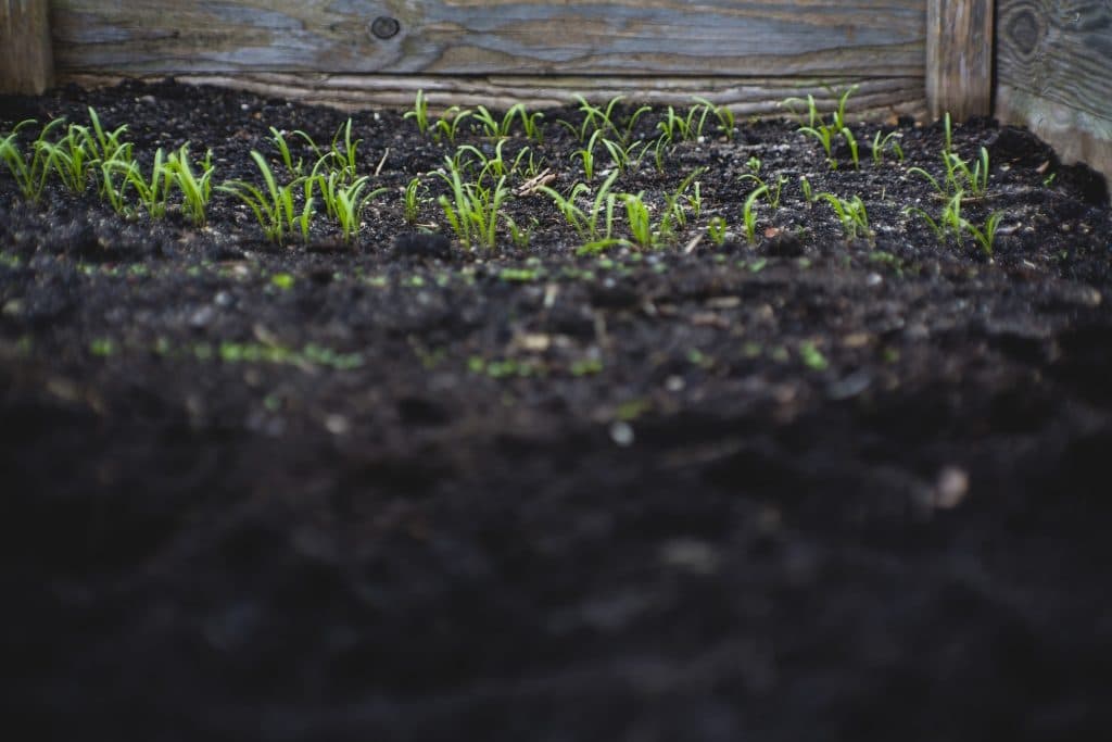 BlueRock Environmental