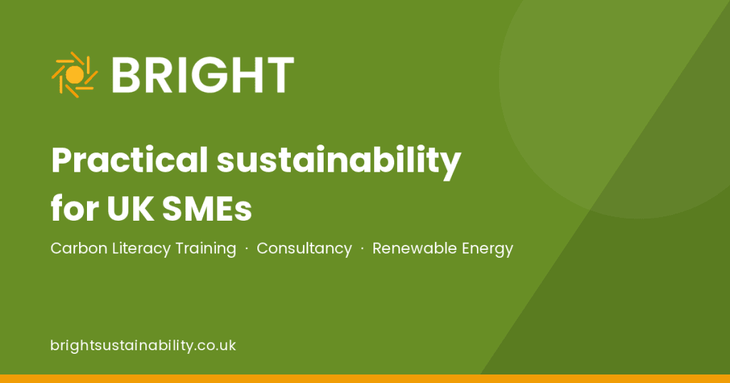 Bright Sustainability