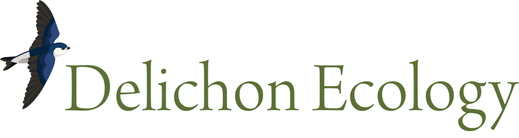 Delichon Ecology Ltd