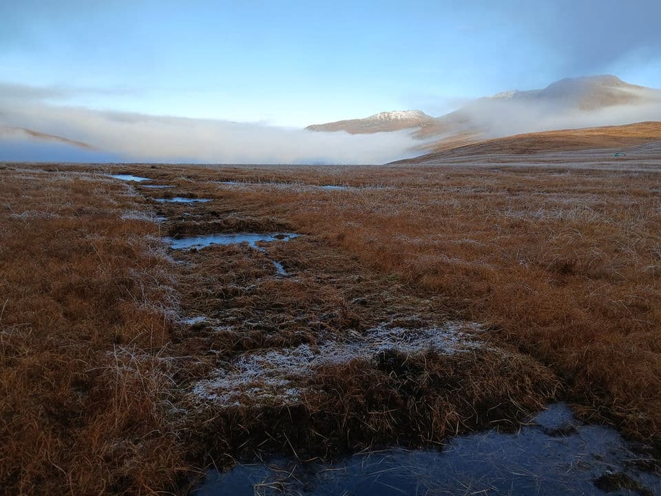 EcoHydrology