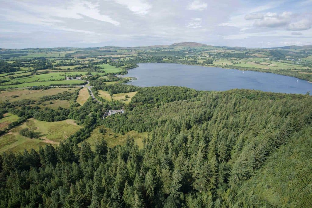Euroforest (ecology services)