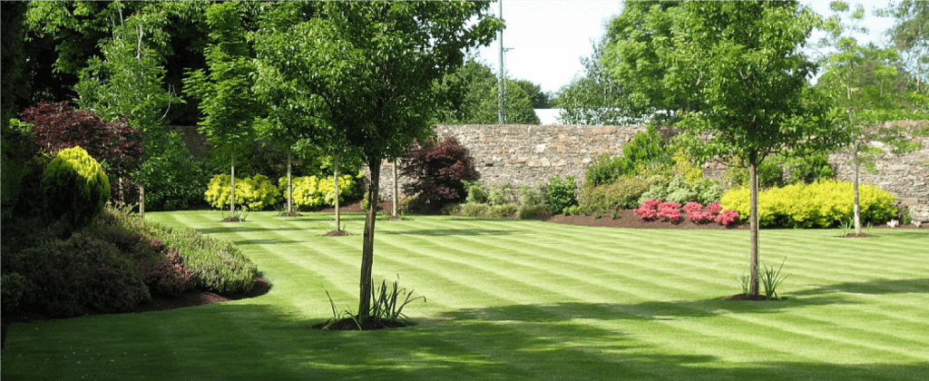 Fairybush Landscaping