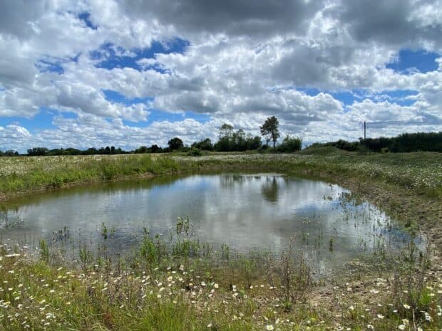 Natural England (Greater Manchester nature recovery)