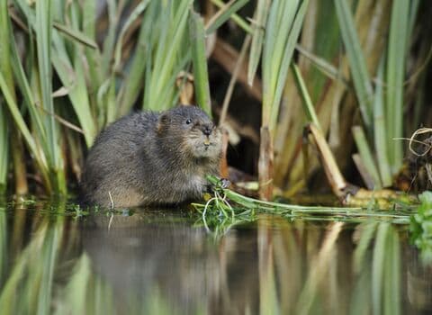 Nottinghamshire Wildlife Trust