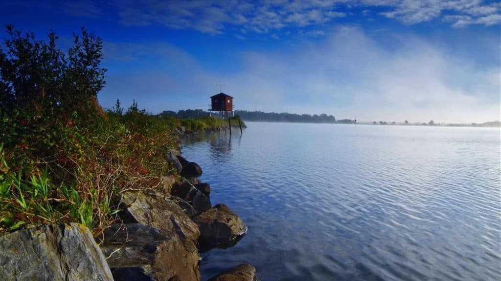 Oxford Island / Craigavon Lakes