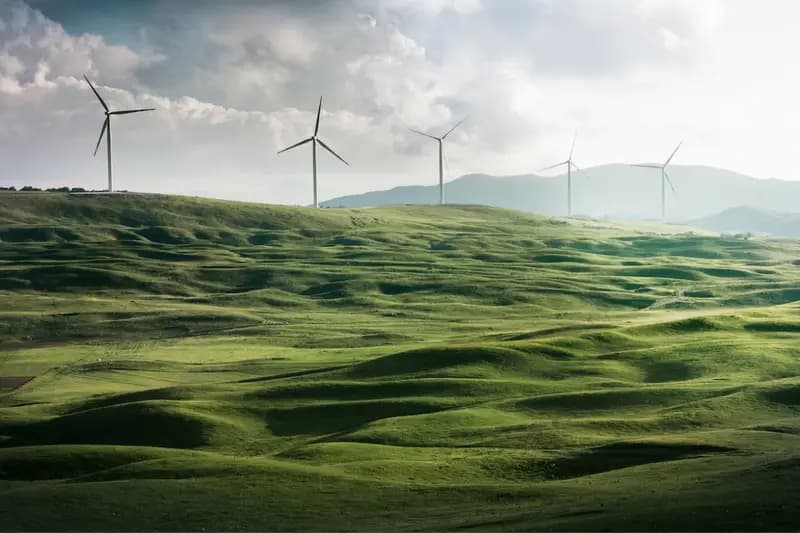 Queen’s University Belfast — The Carbon Literacy Project