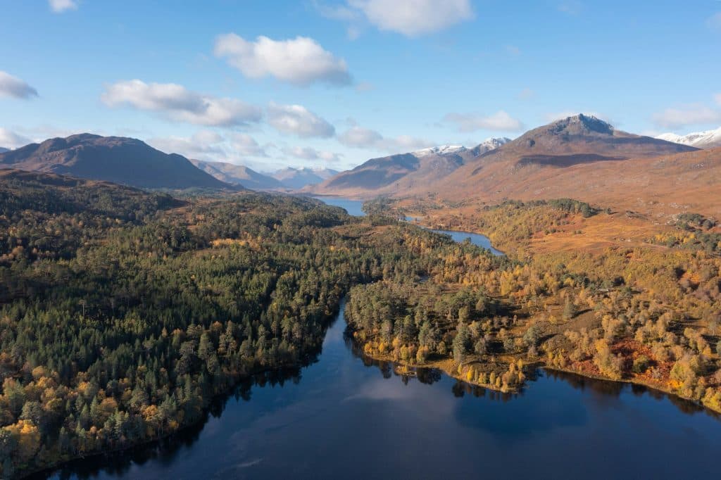 Rewilding Britain