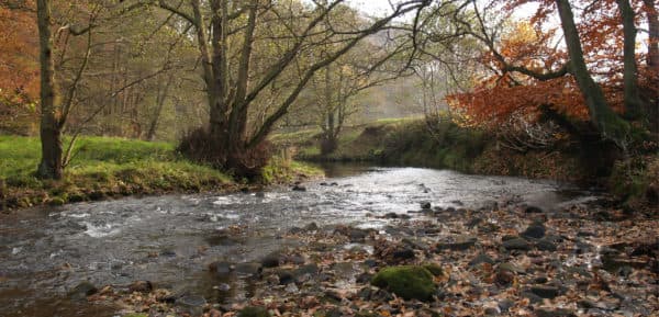 Thomson Environmental Consultants