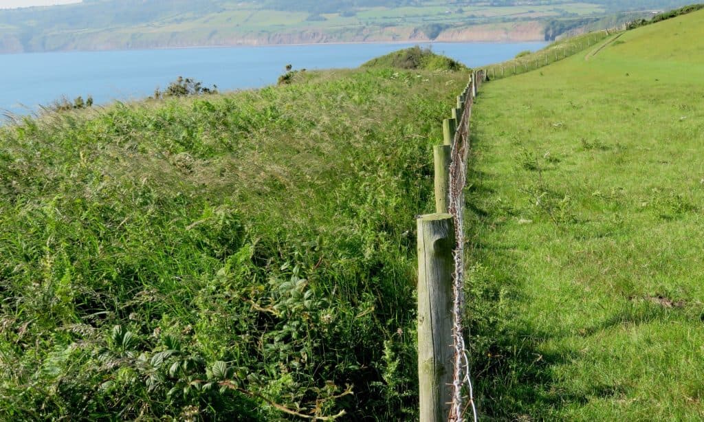 Yorkshire Rewilding Network