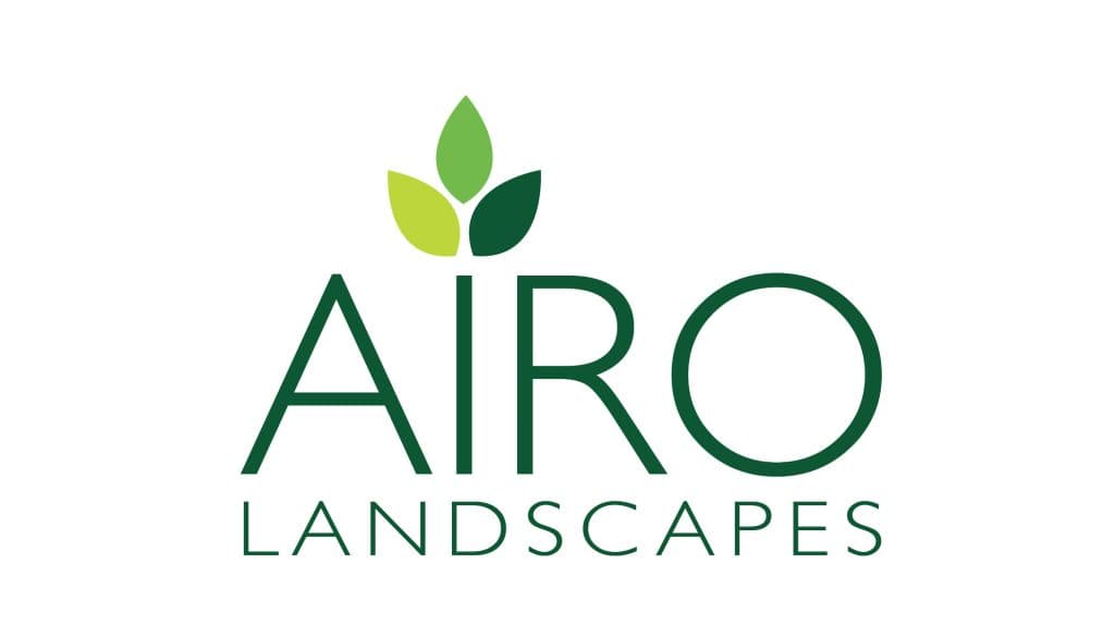 AIRO Landscapes