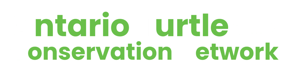 Ontario Turtle Conservation Network