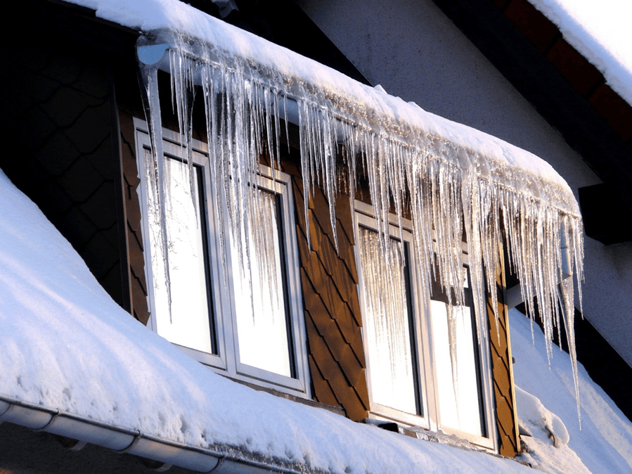 WARM Home Insulation