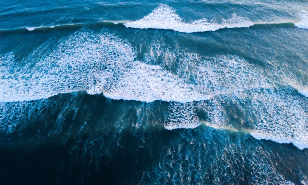 Carbon TO SEA Initiative