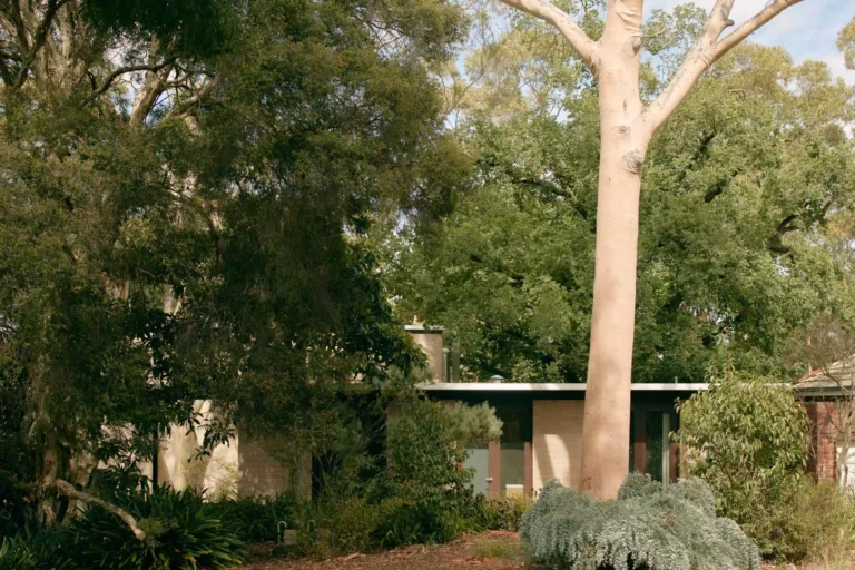 Australia passive house architect Ivanhoe Residence 768x512