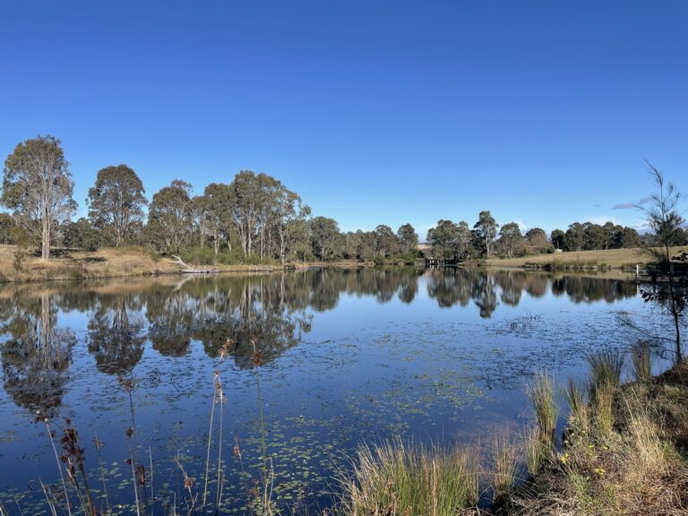 ecologists new south wales 768x576