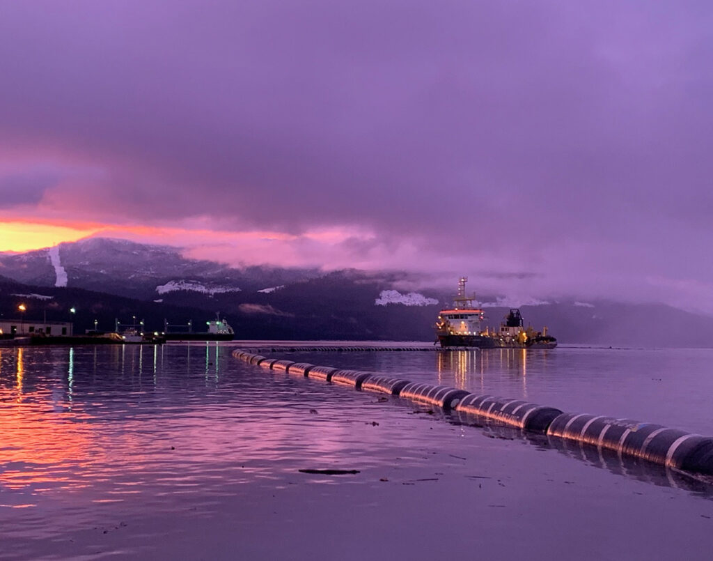 ecologists Vancouver 1024x805